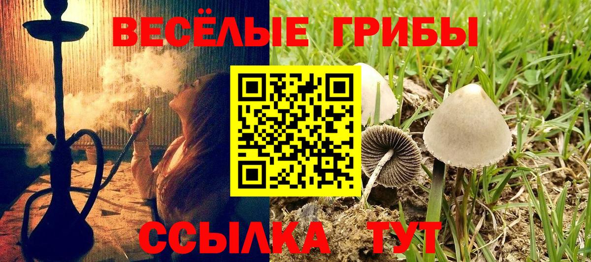 Галлюциногенные грибы мицелий Ессентуки