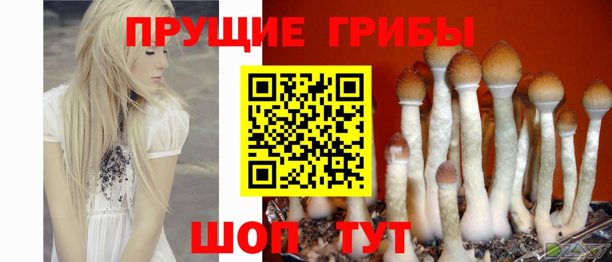 Галлюциногенные грибы мицелий  Вход с VPN  Ессентуки 