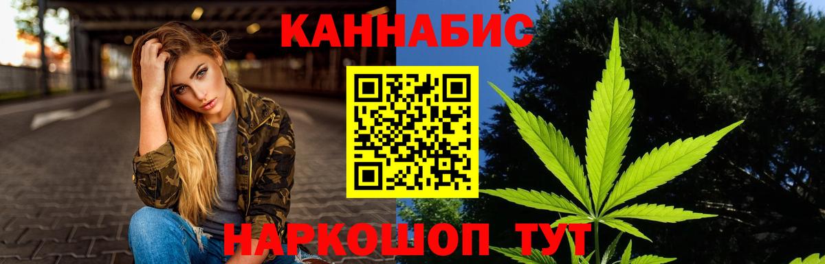 Конопля гибрид Ессентуки